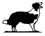 Large Border Collie Dog Weathervane or Sign Profile - Laser cut 450mm